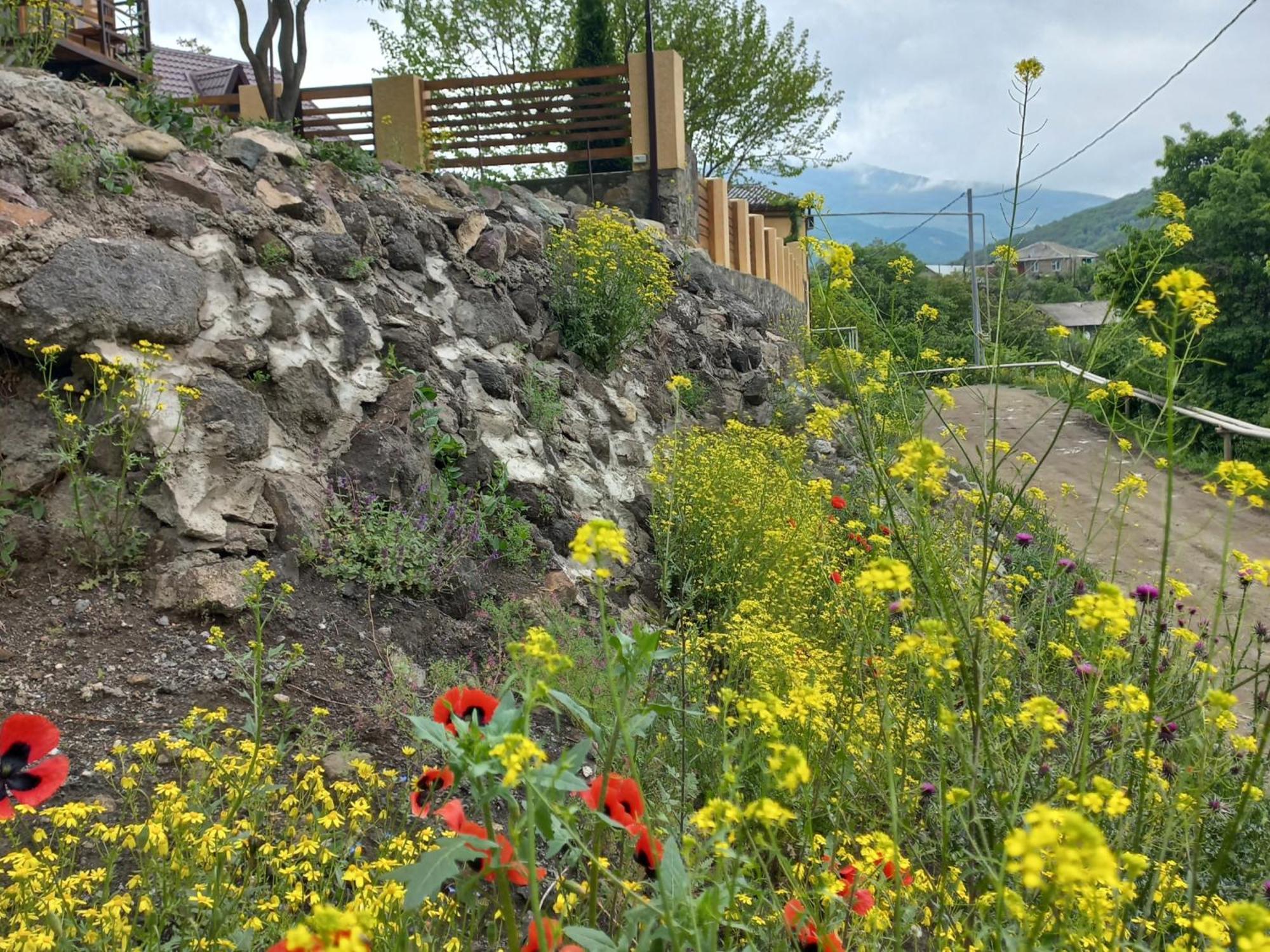 Dilivita Rest House Дилиян Екстериор снимка